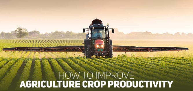 How-to-Improve-Agriculture-Crop-Productivity