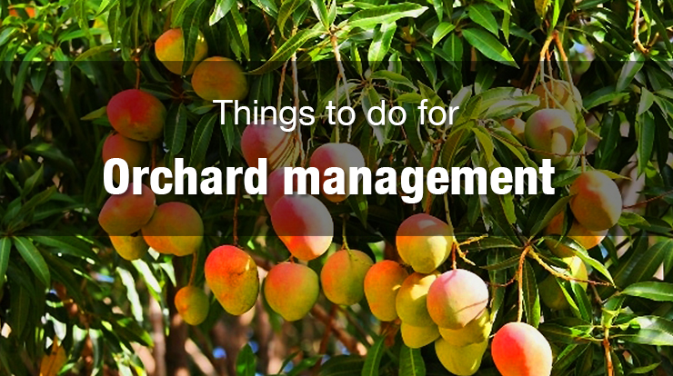 Things to do for Orchard management 