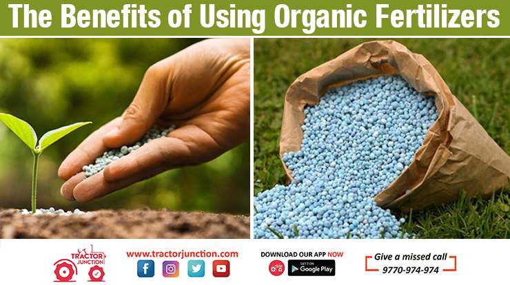 The Benefits of Using Organic Fertilizers