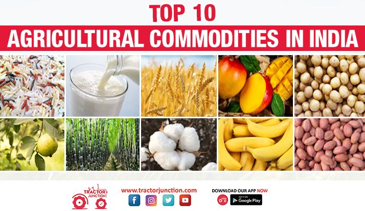 Top 10 Agricultural Commodities in India