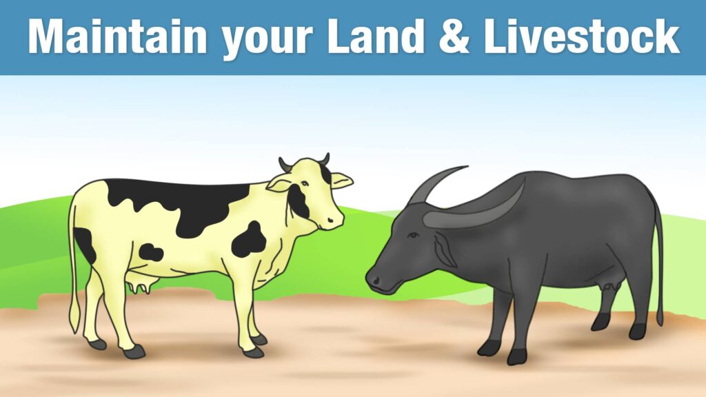 Maintain your Land & Livestock