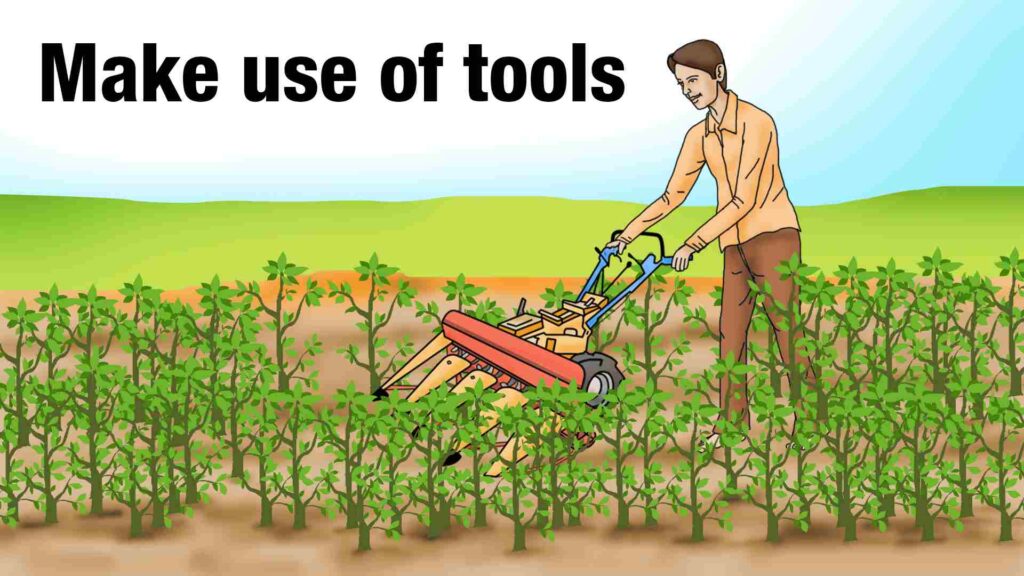 Make use of tools