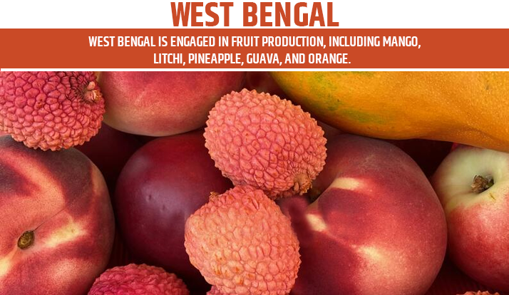 West Bengal is the largest food grain producing state in India