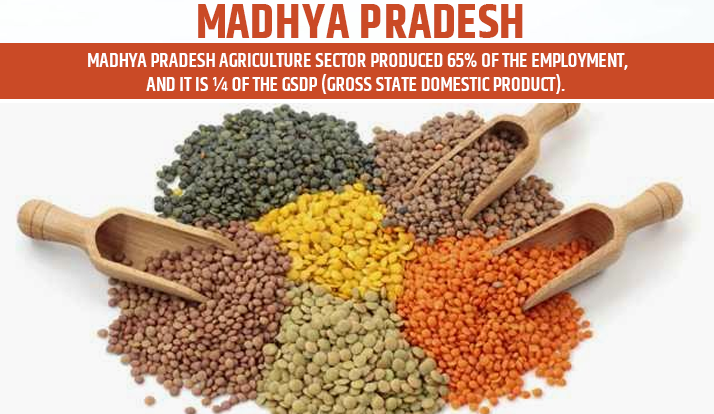 Madhya Pradesh is Top Agriculture State in India for Wheat and maize