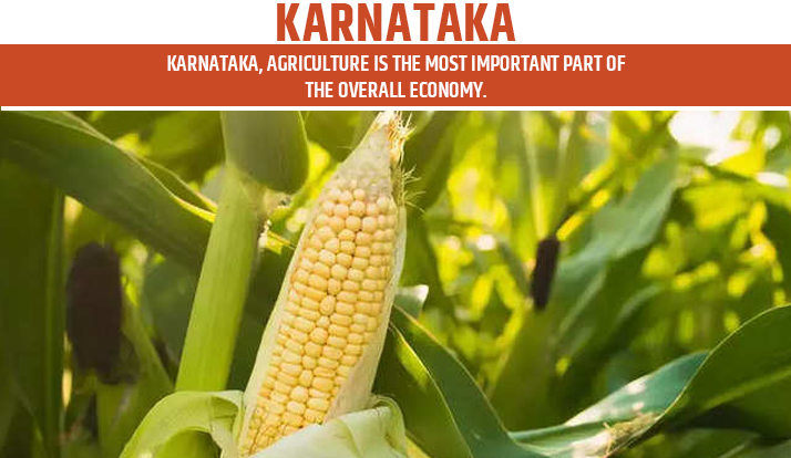 Karnataka Top Agriculture States in India for Rabi Crops