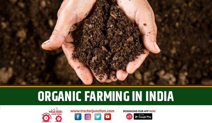 Organic Farming in India - Types, Methods & Advantages