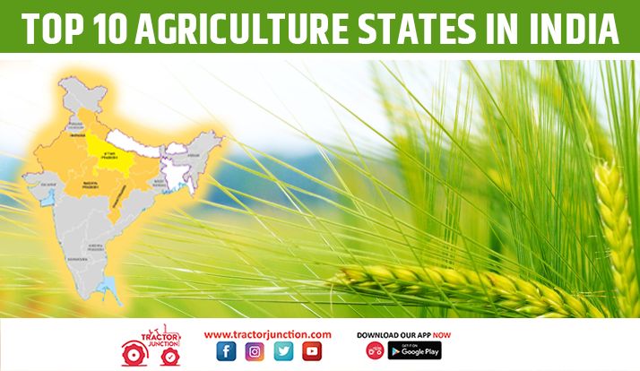 Top 10 Agriculture States in India