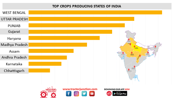 Top Crops Producing States of India