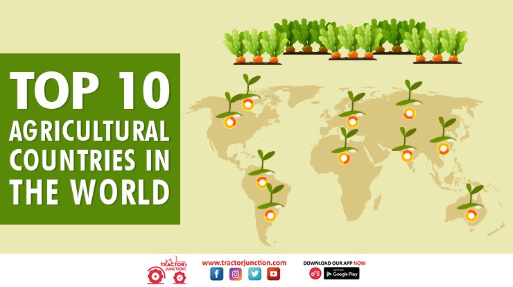 Top 10 Agricultural Producing Countries in The World