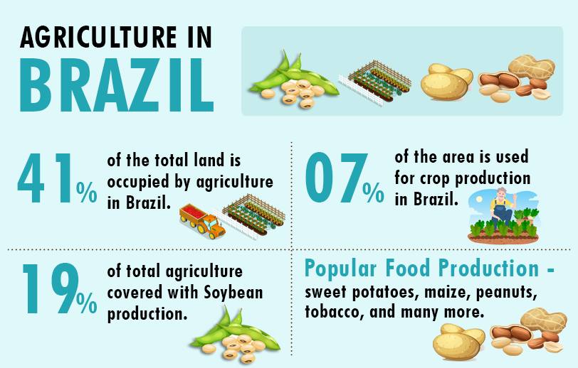 Agriculture in Brazil