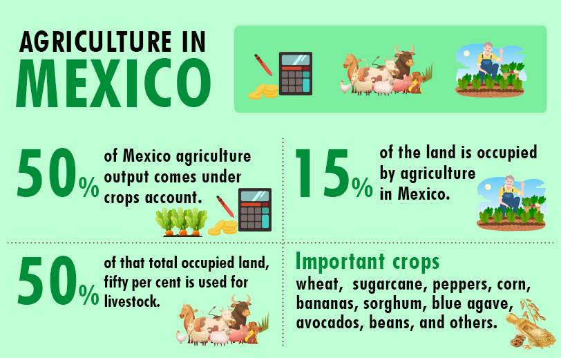Agriculture in Mexico