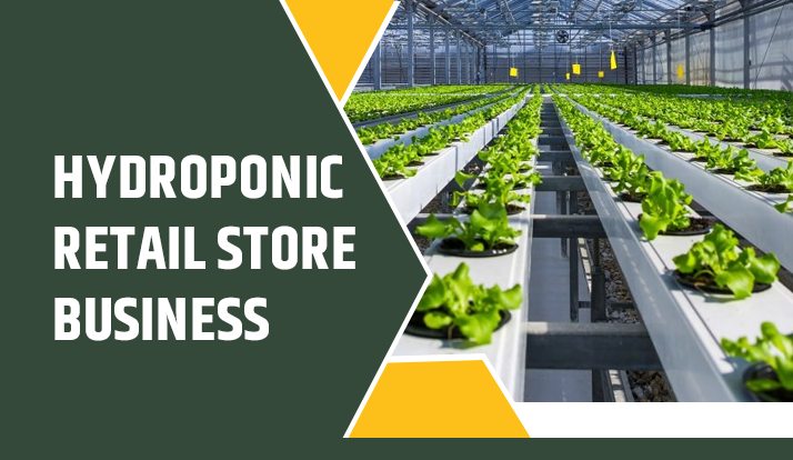 Hydroponic Retail Store Business Hydroponic retail store business is the fastest growing business in recent time. In this business, the plants cultivated without soil. 