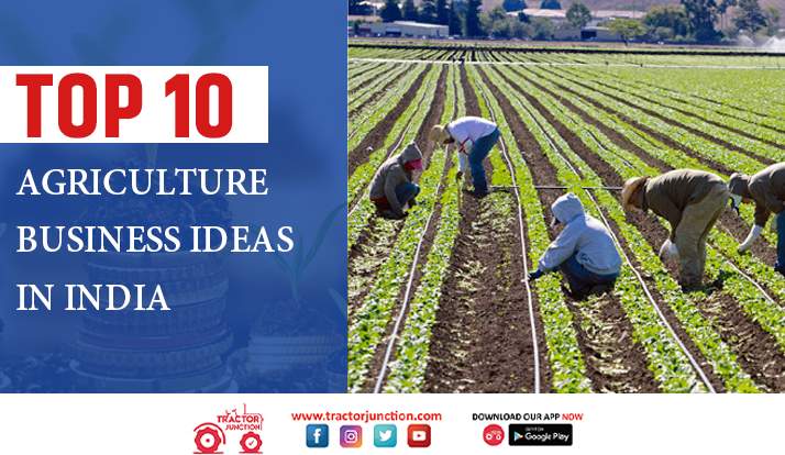 Top 10 Agriculture Business Ideas 2022 - Most Profitable Farming in India