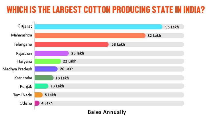 Which is the Largest Cotton Producing State in India