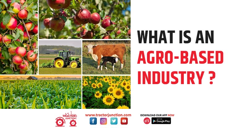Agro-based Industries in India - Types, Importance & Scenario