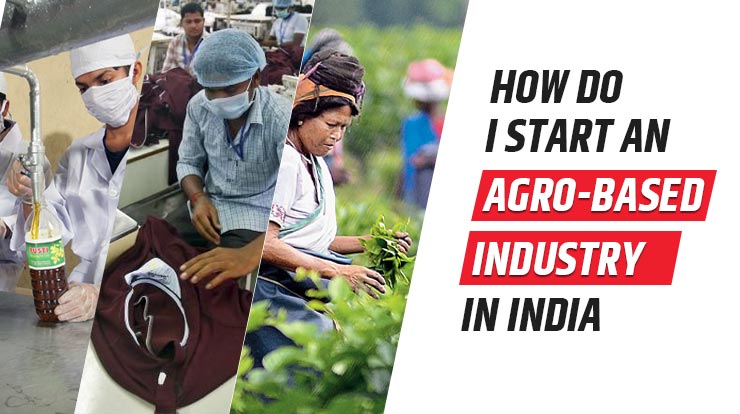 How do I start an Agro-based industry/Agribusiness in India