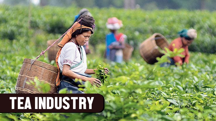 types of agro based industries