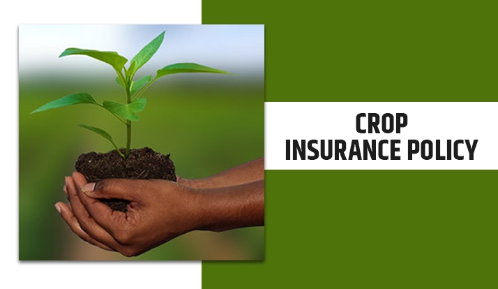 Crop Insurance Policy