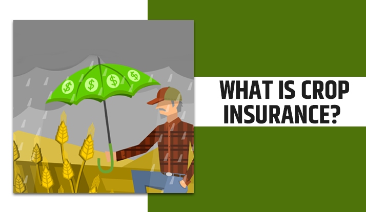 What Is Crop Insurance