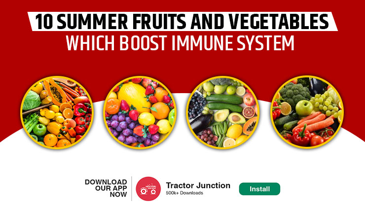 10 Summer Fruits and Vegetables Which Boost Immune System