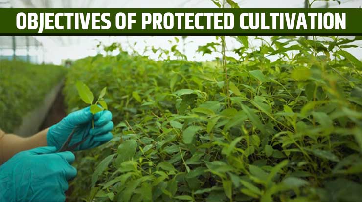 Objectives of Protected Cultivation