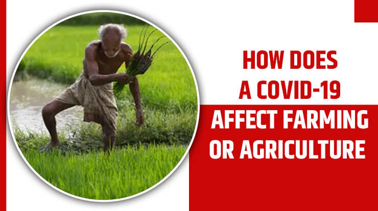 How Does A Covid-19 Affect Farming Or Agriculture 