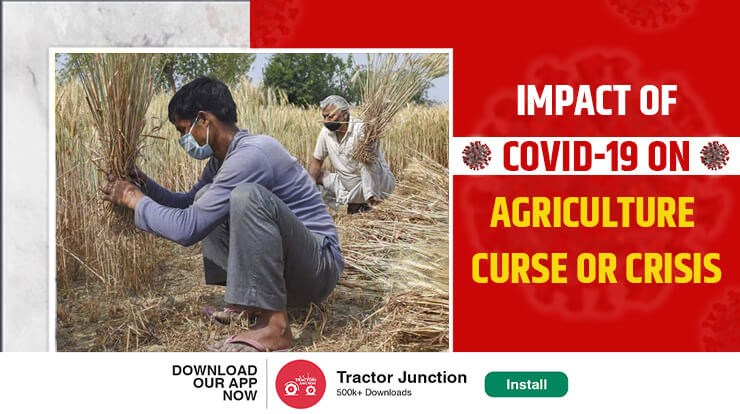 Impact of Covid-19 on Agriculture - Curse Or Crisis