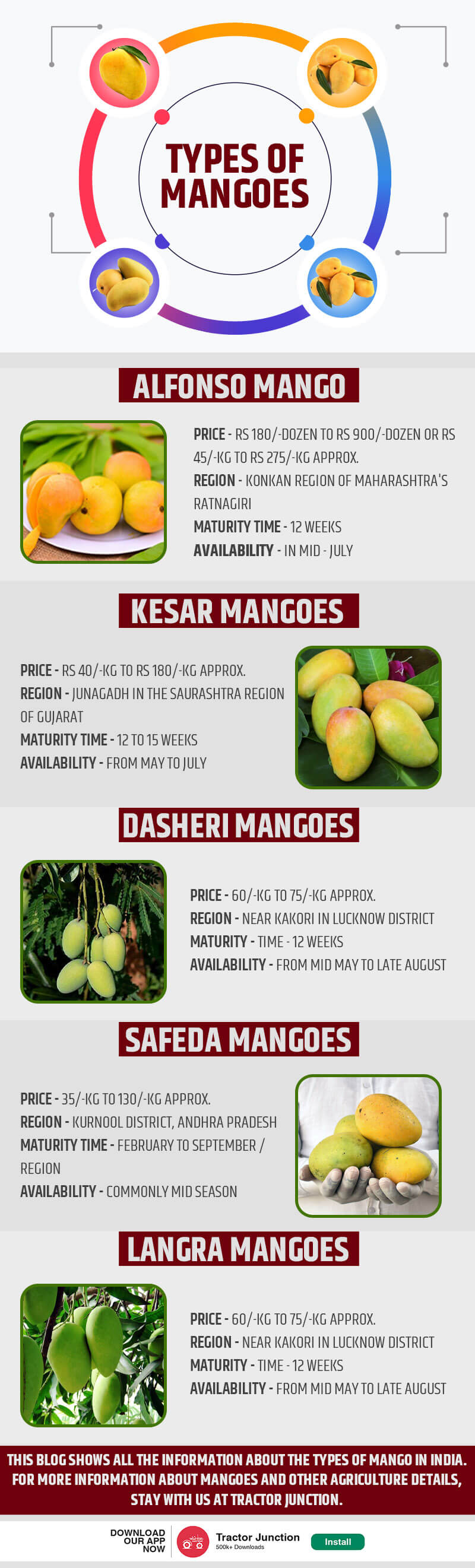 Mango Farming in India infogiraphic