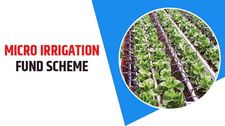Micro Irrigation Fund scheme