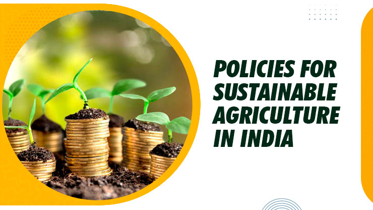 Policies For Sustainable Agriculture In India