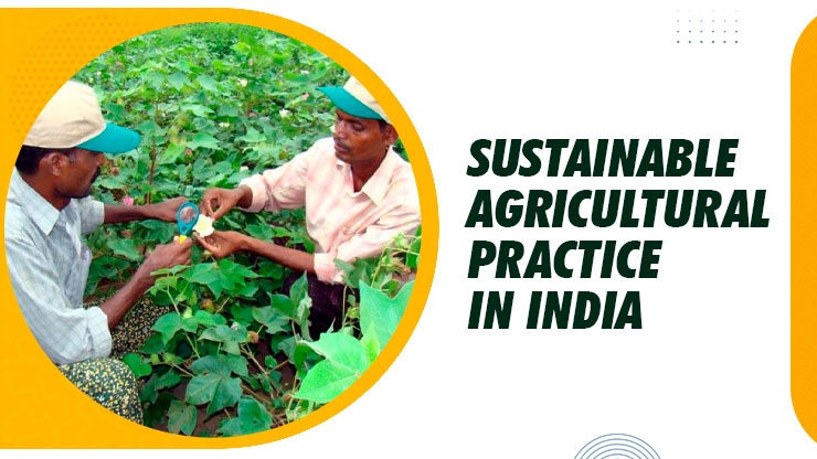 Sustainable Agricultural Practice In India