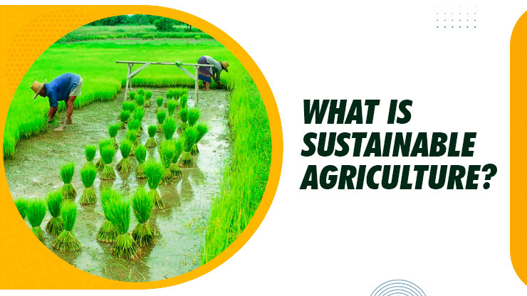 What is Sustainable Agriculture? 