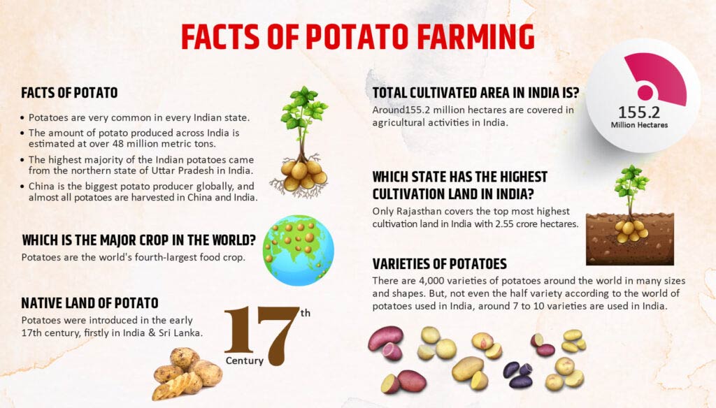 Some Facts About Potato Planter