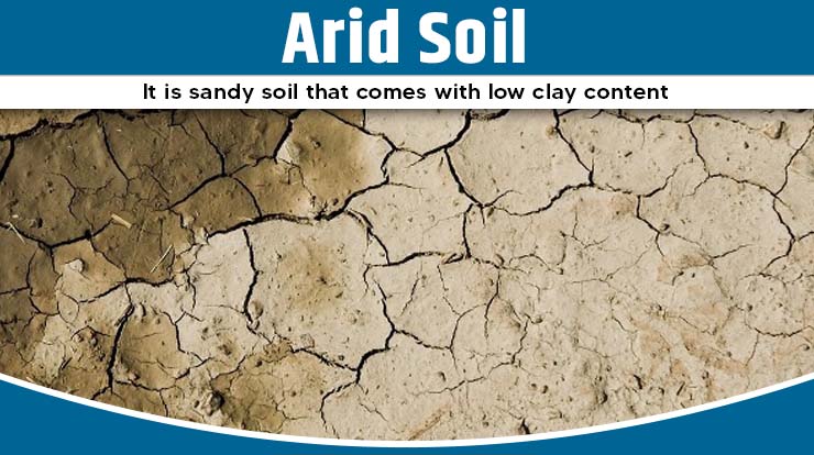 Arid Soil