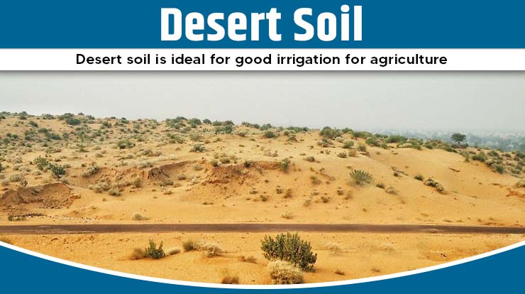  Desert Soil 