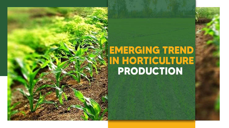Emerging Trend in Horticulture Production