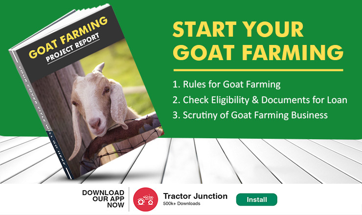 Goat Farming Project Report in India for Loan and Subsidy