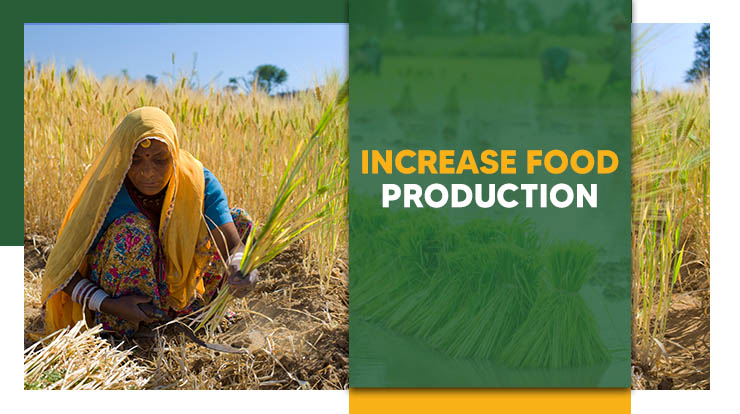 Increase Food Production