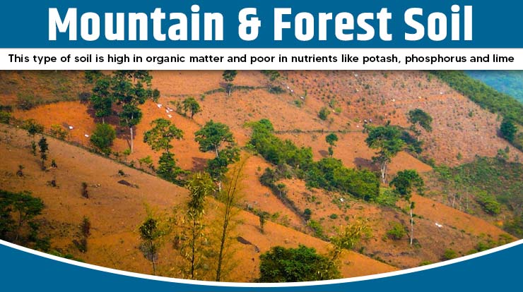  Mountain & Forest Soil 