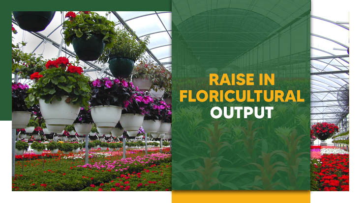 Raise in Floricultural Output