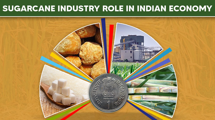 SUGARCANE INDUSTRY ROLE IN INDIAN ECONOMY
