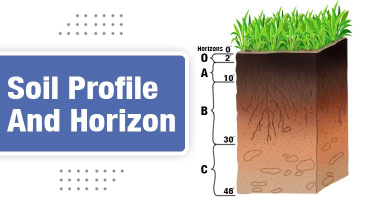 Soil Profile And Horizon