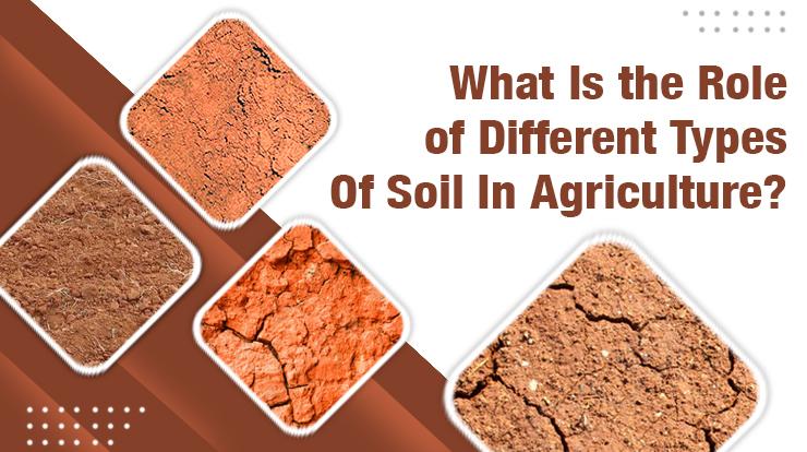 What Is the Role of Different Types of Soil In Agriculture?
