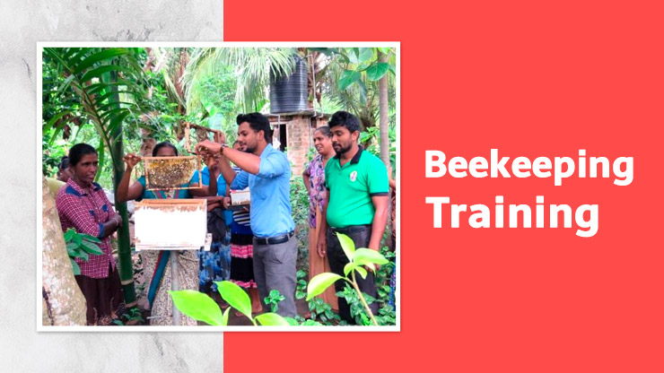 Beekeeping Training in India 