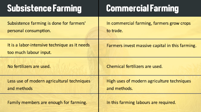 Difference Between Subsistence Farming And Commercial Farming