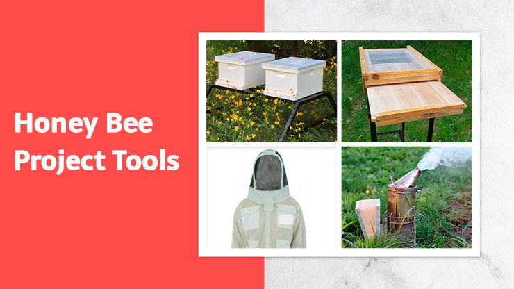 Honey Bee Project Tools 