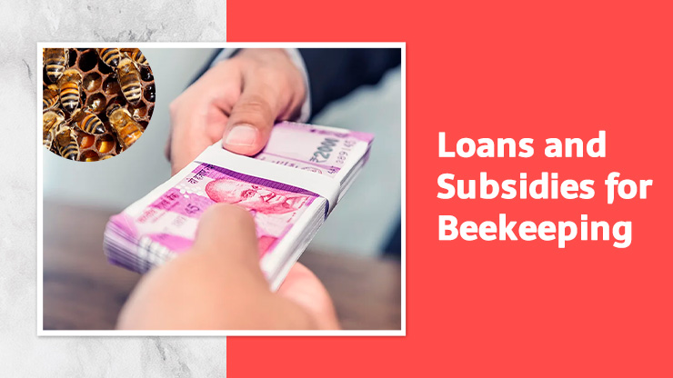 Loans and Subsidies for Beekeeping Business