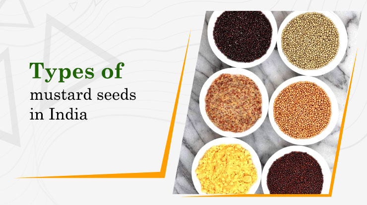 Type of Mustard Seeds In India 