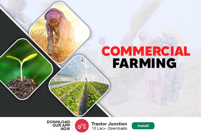 What is Commercial Farming
