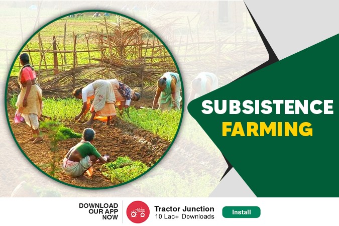 What is Subsistence Farming